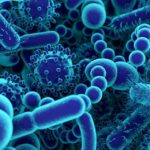 The Science Behind Gut Health: How Nutrition Influences Your Microbiome