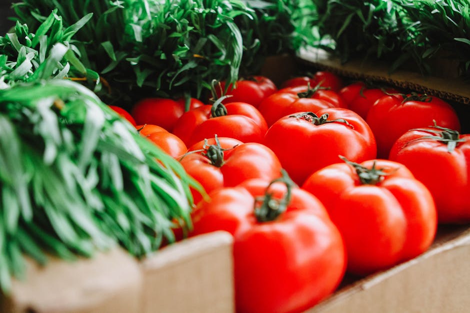 nutrition basics