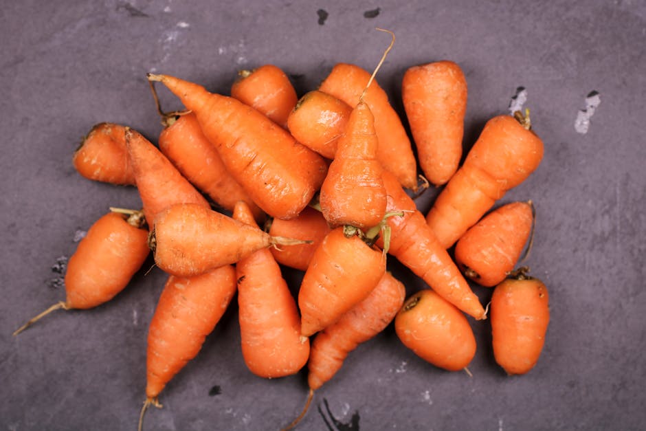 nutrition education assessment