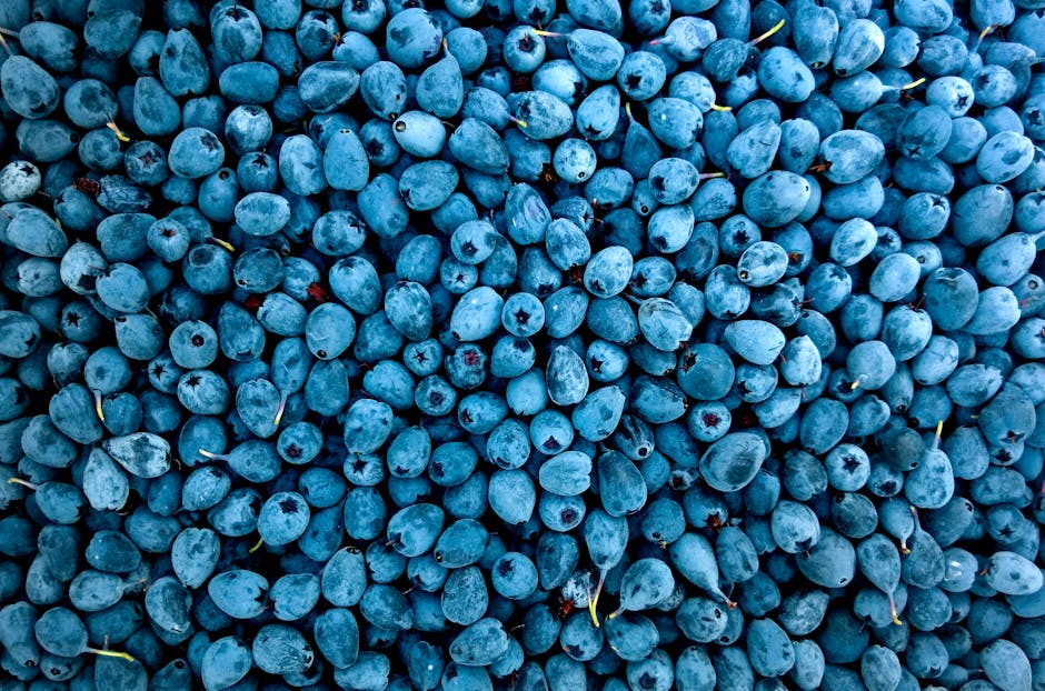 nutrition myths