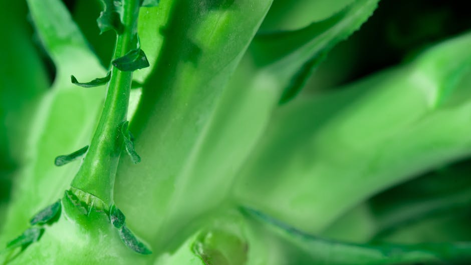 stem curriculum nutrition