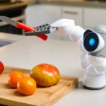 Mastering the Basics: Essential Knives Every Healthy Cook Should Own