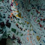 Fuel Your Gains: Top 7 High-Protein Meals for Muscle Building