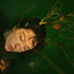 Mindful Eating: Transforming Your Relationship with Food for Better Health